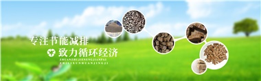 倪維斗院士：通過技術(shù)創(chuàng)新，大力發(fā)展超級能源生物質(zhì)燃料